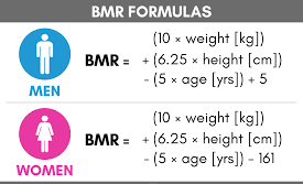 bmr calculator