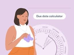 Pregnancy Due Date Calculator
